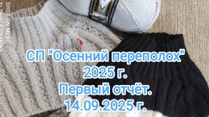Первый отчёт в СП "Осенний переполох 2025 год". 14.09.2025 г.