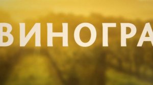 «Виноград», 1 серия (2025, 50 мин) — от краха к шансу: ритм и человеческая комедия — обзор