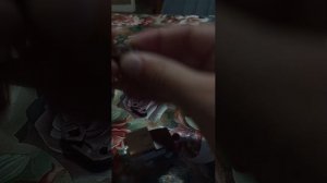 собираю зверятыша "рогацци"