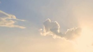 Или жизнь мука