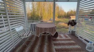 МОЯ ИСТОРИЯ / МНОГОДЕТНАЯ МАМА С ДВОЙНЕЙ / КАК И ГДЕ МЫ ЖИВЕМ: ДАЧА ТУР / РУМТУР / ЖИТЬ ПО-РУССКИ