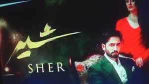 Лев / Шер    ПОДПИШИСЬ