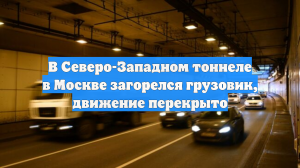 В Северо-Западном тоннеле в Москве загорелся грузовик, движение перекрыто