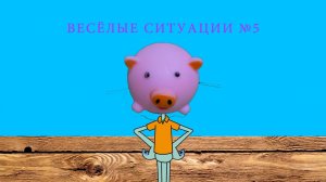 ВЕСЁЛЫЕ СИТУАЦИИ ИЗ ЖИЗНИ СВИЛИ! СБОРНИК СЕРИЙ С МОИМ ГОВОРЯЩИМ СВИЛИ (ЧАСТЬ 5)