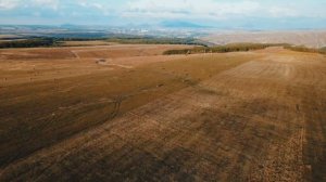 В моменте….полет над полем.