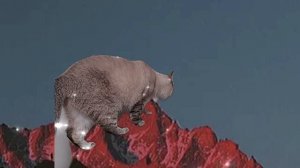 Лия⛰️🎀