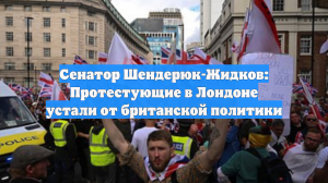 Сенатор Шендерюк-Жидков: Протестующие в Лондоне устали от британской политики