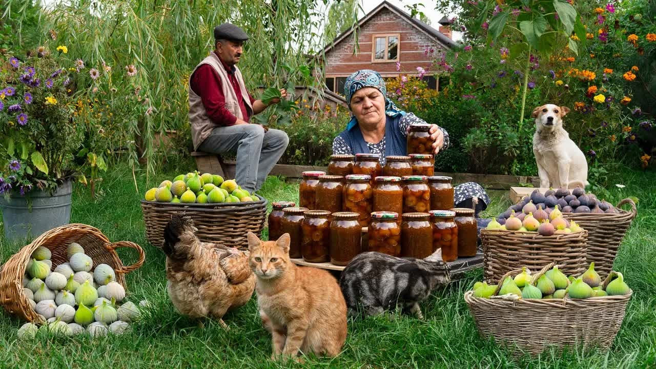 Африкадағы қонақжай жезөкшелік