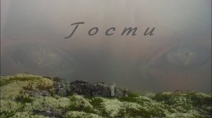 Путешествие к центру аномалий.  Часть 2 . "Гости"