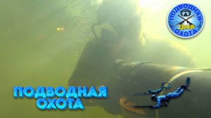 ДЕАФ ПОДВОДНАЯ ОХОТА 13/09/2025