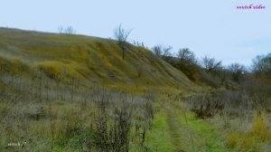 vovich архив 34