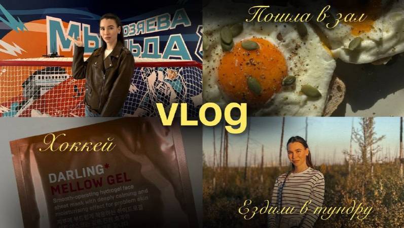 VLOG: Осенние будни  Хоккей  Ездила в тундру за ягодами