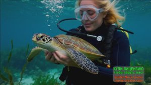 ПОДВОДНАЯ ЖИЗНЬ ОКЕАНА ГЛАЗАМИ ДАЙВЕРА.ВОЛШЕБНО!