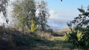 Камыш горит на площади в 1,5 тысячи "квадратов" в Ростовской области