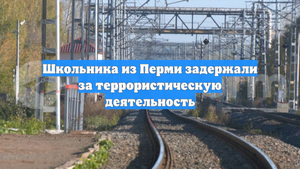 Школьника из Перми задержали за террористическую деятельность