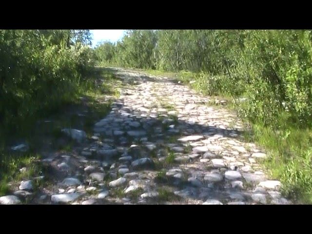 Дорога