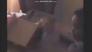 Самый Худший Подарок - Соевые Бобы