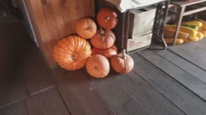 ДВА ДНЯ моей ЖИЗНИ