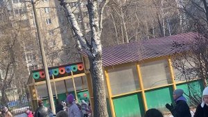 Масленица-2025
