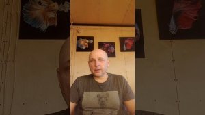смысл жизни в смысле жизни чась 1