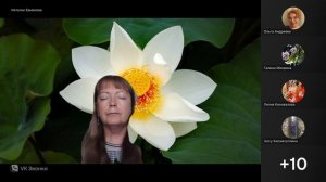 Завершение кармических отношений Сеанс исцеления временных линий