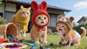 ШОК У КОТЁНКА: Шерсть внезапно поменяла цвет! История спасения и любви!