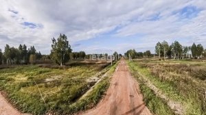 9815372