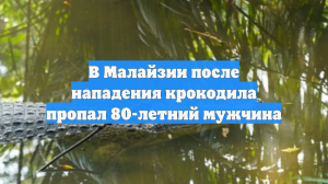 В Малайзии после нападения крокодила пропал 80-летний мужчина
