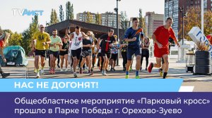 Общеобластное мероприятие «Парковый кросс» прошло в Парке Победы г. Орехово-Зуево