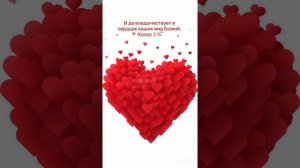 14.09.25.Молитва благословения❤️🔥🍇🍀💧🌾📣🩵🌈📯☘️🩸🎯💦🌿💙🌷⚔️💐💛💞🍁🩷