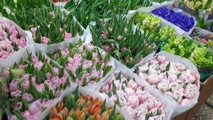 На Рижском рынке в Москве