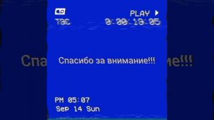 Отряд Зефра