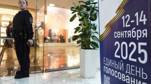 МВД возбудило более 10 уголовных дел за время единого дня голосования