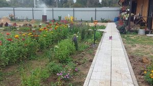Наши 8,4 сотки🏡Работа на участке продолжается💪
