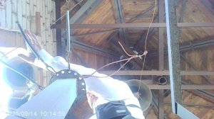 Трезвон по завершении Божественной Литургии 14 сентября 2025. Поздравляю с Церковным Новым Годом!