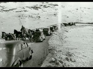 АНОМАЛИЯ ЗАПАДНАЯ ЛИЦА. Часть первая. Тайны Заозерска.
