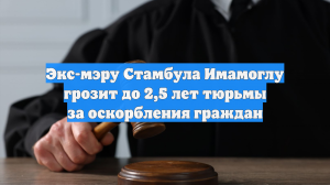 Экс-мэру Стамбула Имамоглу грозит до 2,5 лет тюрьмы за оскорбления граждан