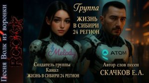 🎧Песня Волк из воронки🎧