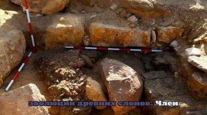 ARO: в Турции нашли три черепа слона возрастом 7,7 миллиона лет