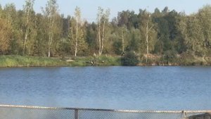 поимка на большом водоёме