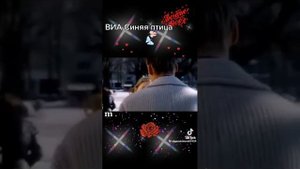 1000387692.mp4