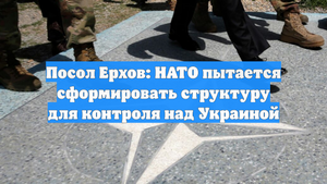 Посол Ерхов: НАТО пытается сформировать структуру для контроля над Украиной