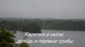Карелия 2025! Июльские дожди. Первые грибы. Рыбалка с лодки на спиннинг. Отпуск 2025!
