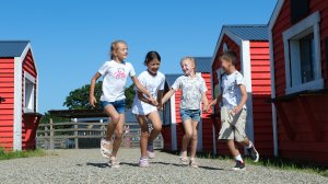 В гости к альпакам. Сентябрь 2025