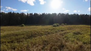 НовоОтрадное сентябрь2025