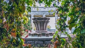 Красивый и оригинальный фонтан в Зоопарке. С монетками 💧💦💰 #Shorts