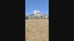 Фиолент Импульс-1