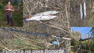 Рыбалка на реке Вологда ловля щуки на спиннинг и на самоловку ,постройка беседки