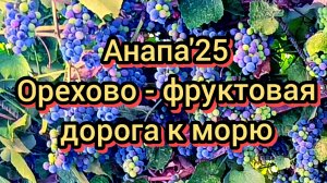 #АНАПА #ФРУКТЫ #ОРЕХИ ПО ДОРОГЕ К МОРЮ 14-09-2025