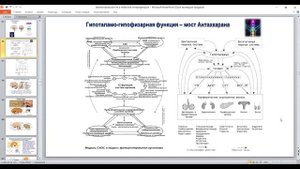 Земная физиология в небесной интерпретации. Марина Колесник, Чернигов МаЭД